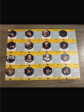 Buffalo Sabres 1990 Pro Ice Hockey Set of 16 Trading Cards
